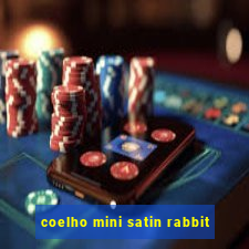 coelho mini satin rabbit